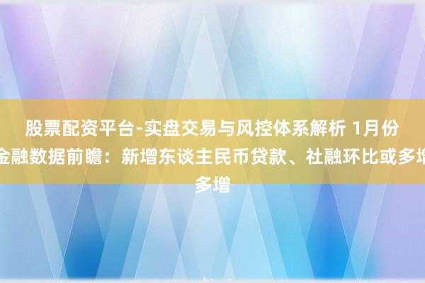 股票配资平台-实盘交易与风控体系解析 1月份金融数据前瞻：新增东谈主民币贷款、社融环比或多增