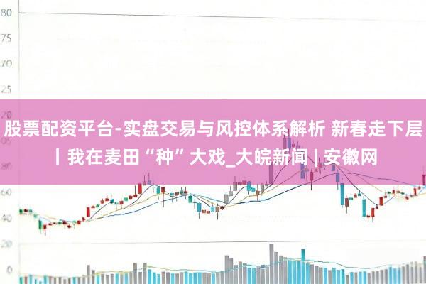 股票配资平台-实盘交易与风控体系解析 新春走下层丨我在麦田“种”大戏_大皖新闻 | 安徽网