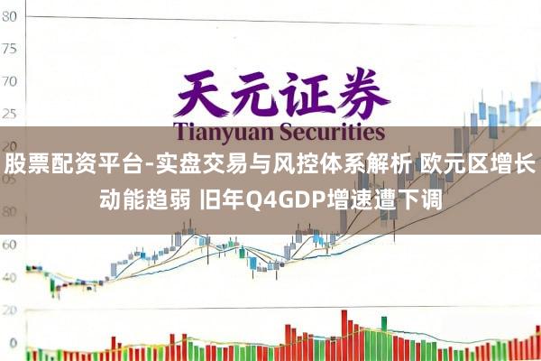 股票配资平台-实盘交易与风控体系解析 欧元区增长动能趋弱 旧年Q4GDP增速遭下调