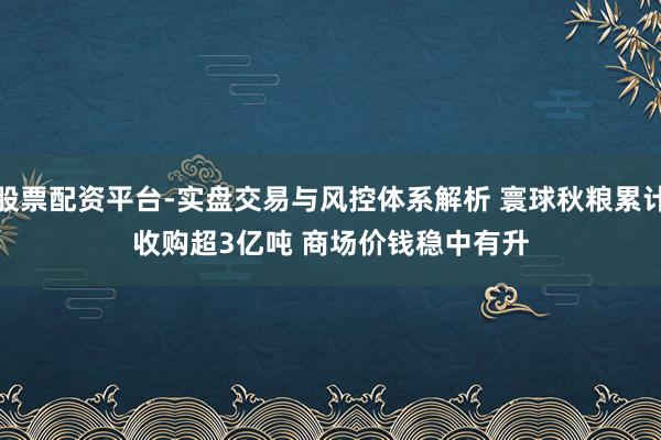 股票配资平台-实盘交易与风控体系解析 寰球秋粮累计收购超3亿吨 商场价钱稳中有升