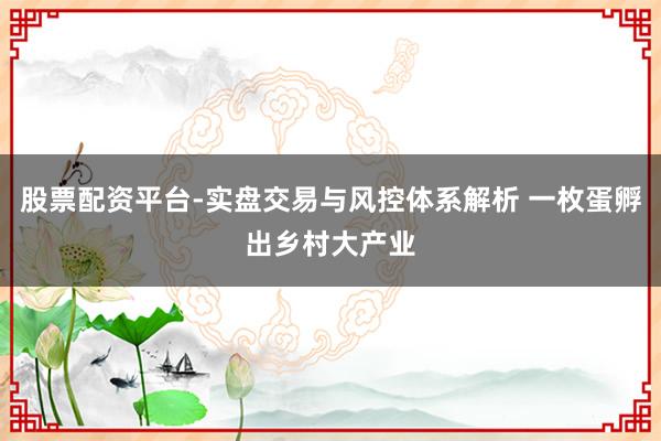 股票配资平台-实盘交易与风控体系解析 一枚蛋孵出乡村大产业