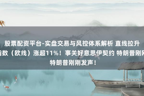 股票配资平台-实盘交易与风控体系解析 直线拉升 集运指数（欧线）涨超11%！事关好意思伊契约 特朗普刚刚发声！