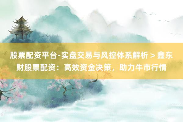 股票配资平台-实盘交易与风控体系解析 > 鑫东财股票配资：高效资金决策，助力牛市行情